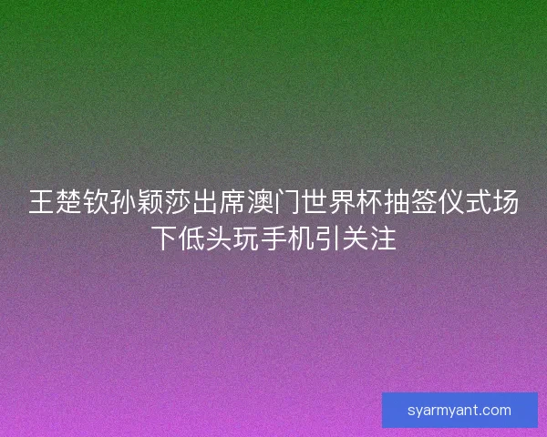 王楚钦孙颖莎出席澳门世界杯抽签仪式场下低头玩手机引关注